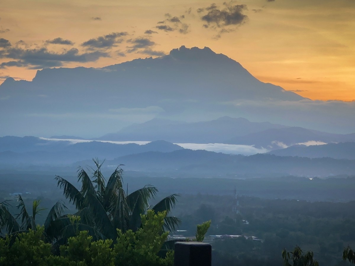Capturing the Wild Wonders of Sabah: A Journey into Nature’s Heart&nbsp;🌿📸