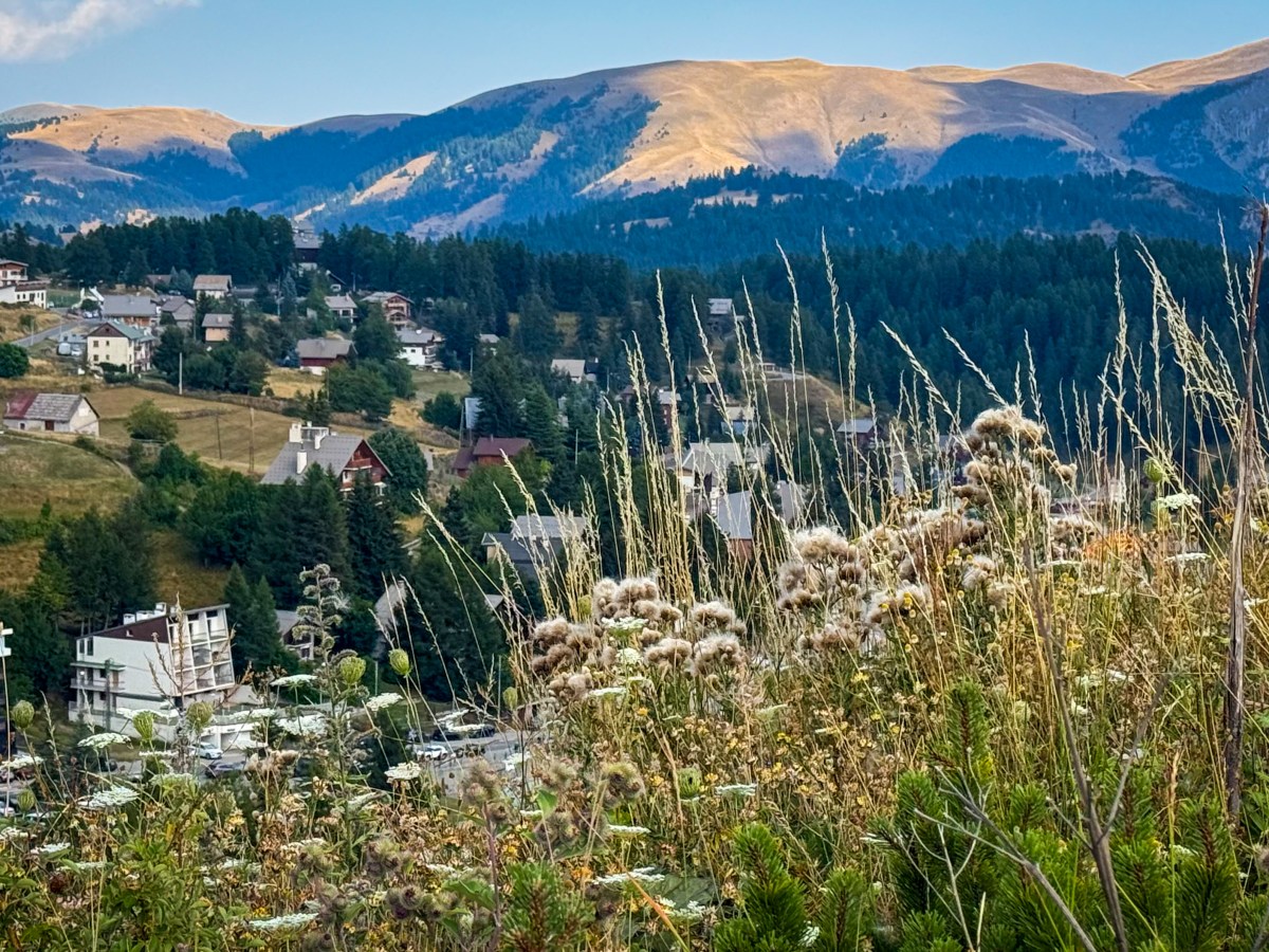 Exploring the Alpine Meadows: A Call to Protect&nbsp;Nature